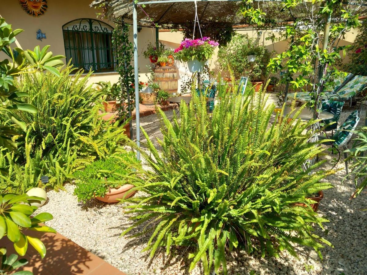 Bed And Breakfast Rosangela ตาออร์มินา ภายนอก รูปภาพ