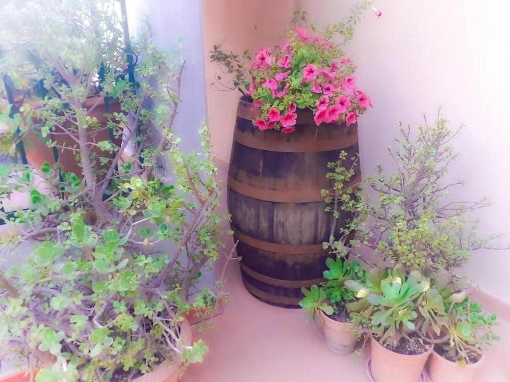 Bed And Breakfast Rosangela ตาออร์มินา ภายนอก รูปภาพ